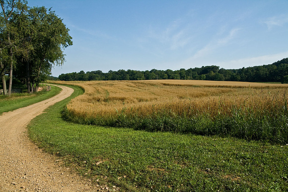 Walking trails cross the farm's fields & woods