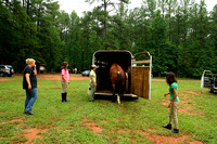 Horses at Umstead July 2008
