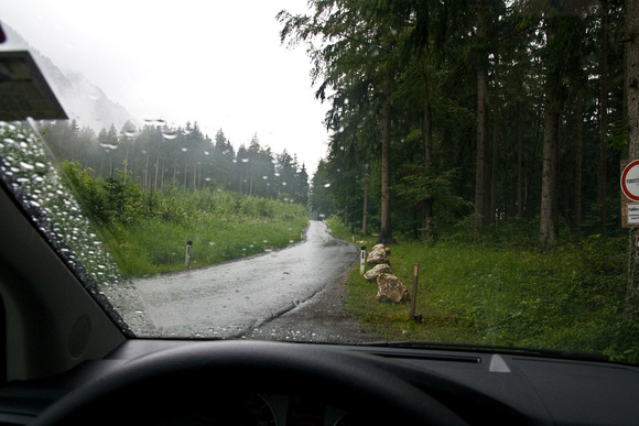 Driving through forest outside Salzburg, on way to Fussen